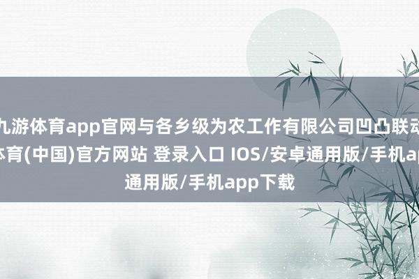 九游体育app官网与各乡级为农工作有限公司凹凸联动-九游体育(中国)官方网站 登录入口 IOS/安卓通用版/手机app下载